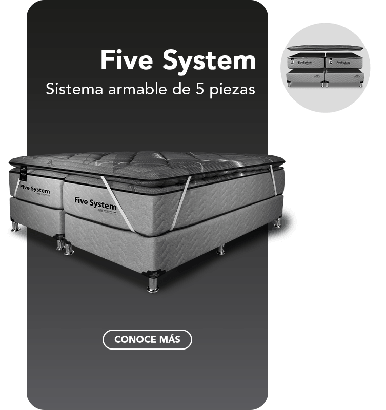 Five System - 5 piezas
